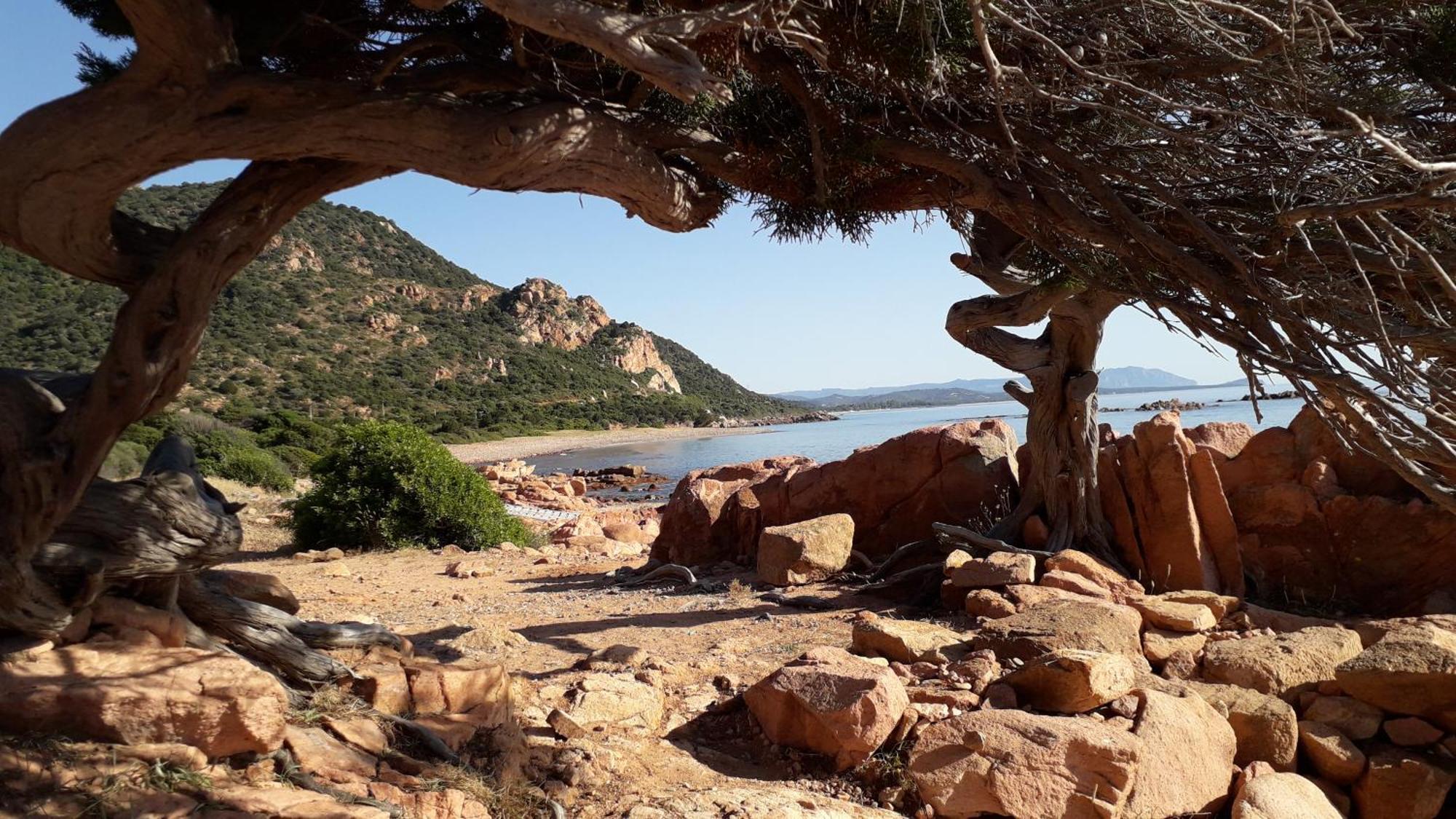 Appartamento Domu Arangius Àrbatax Esterno foto